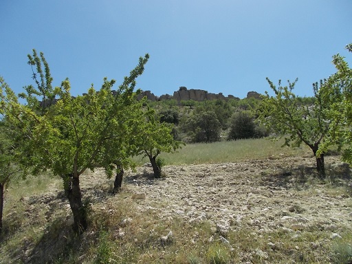 Sorry, image missing