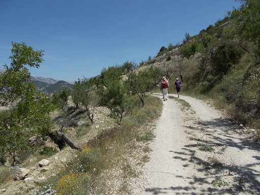 Sorry, image missing